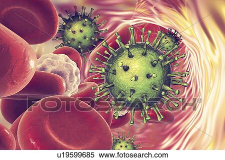 Stock Photography - Human cytomegaloviruses in blood, illustration. Fotosearch