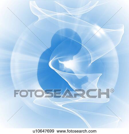 Stock Photo - Human foetus, illustration.. Fotosearch