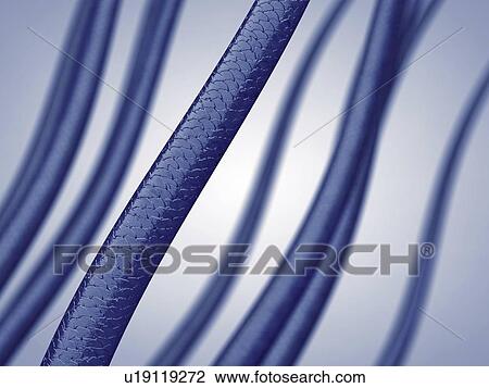 Stock Image - Human hair, illustration. Fotosearch