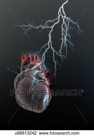 Human heart with lightening, illustration. View Large Photo Image Stock Image - Human heart with lightening, illustration.. Fotosearch