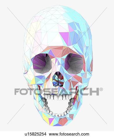 Picture - Human skull, illustration. Fotosearch