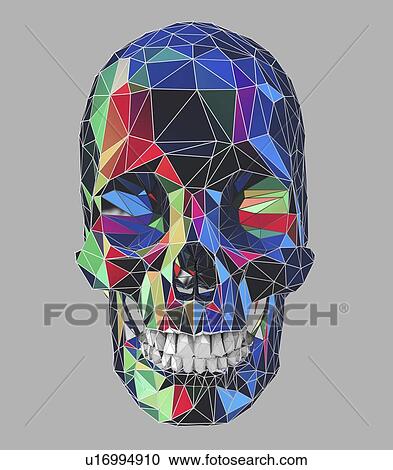 Human skull, illustration View Large Photo Image Stock Image - Human skull, illustration. Fotosearch