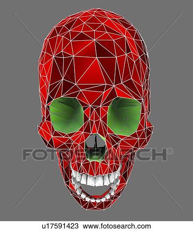 Stock Image - Human skull, illustration. Fotosearch