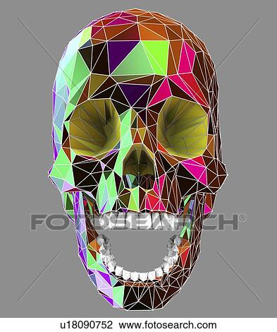 Stock Image - Human skull, illustration. Fotosearch