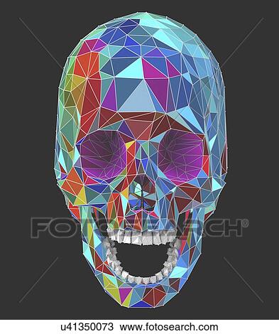 Stock Image - Human skull, illustration. Fotosearch