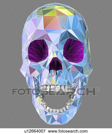 Human skull, illustration View Large Photo Image Stock Photo - Human skull, illustration. Fotosearch