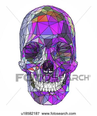Human skull, illustration View Large Photo Image Stock Photo - Human skull, illustration. Fotosearch