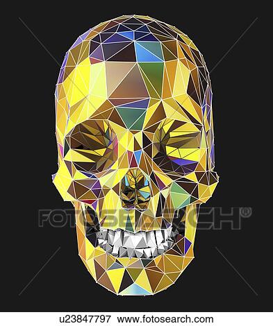 Human skull, illustration View Large Photo Image Stock Photo - Human skull, illustration. Fotosearch
