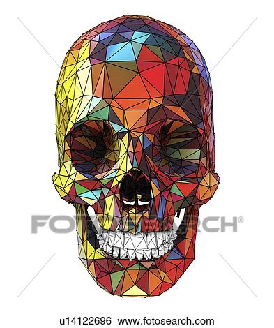 Stock Photograph - Human skull, illustration. Fotosearch