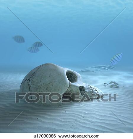 Stock Photograph - Human skull on ocean floor, illustration.. Fotosearch