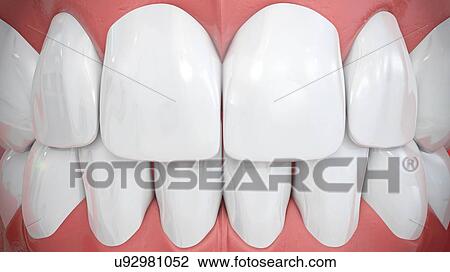 Stock Image - Human teeth, illustration. Fotosearch