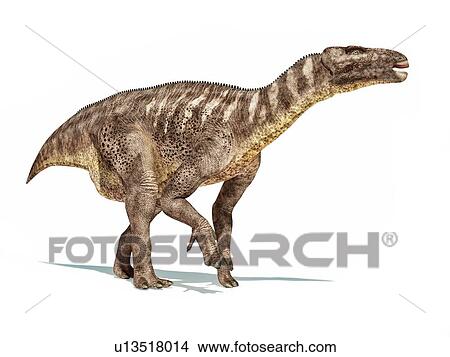 Picture - Iguanodon dinosaur, illustration. Fotosearch