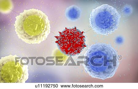 Immune response, illustration View Large Photo Image Stock Image - Immune response, illustration. Fotosearch