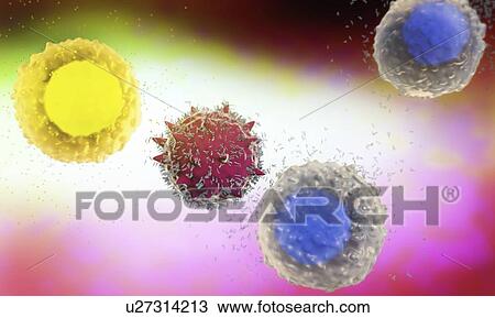Immune response, illustration View Large Photo Image Stock Image - Immune response, illustration. Fotosearch