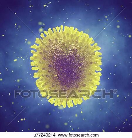 Picture - Influenza virus, illustration. Fotosearch