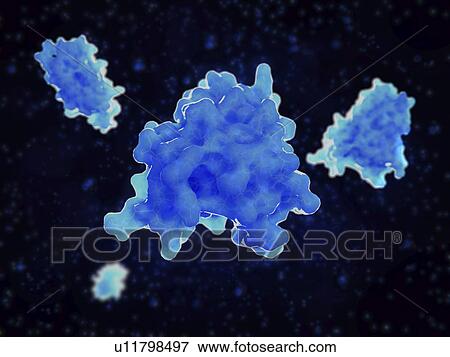 Stock Photo - Interleukin 4 cytokine molecules, illustration. Fotosearch