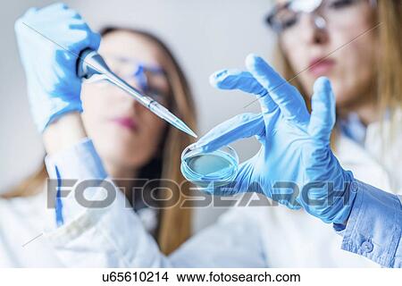 Picture - Life science research. Fotosearch