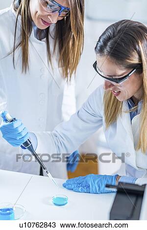 Stock Image - Life science research. Fotosearch