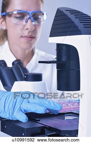 Stock Image - Life science research. Fotosearch