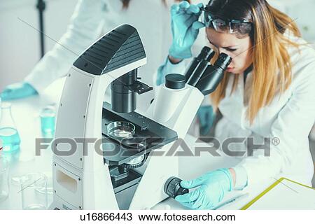 Life science research View Large Photo Image Stock Image - Life science research. Fotosearch