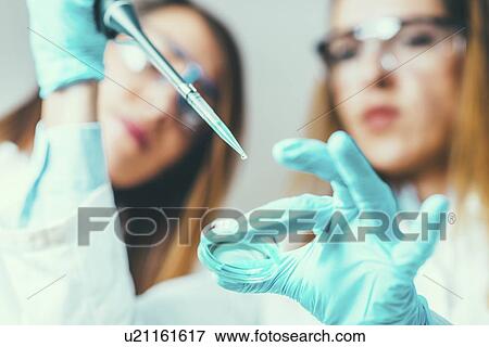Stock Photo - Life science research. Fotosearch