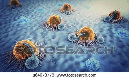Stock Image - Lymphocytes attacking cancer cells, illustration. Fotosearch