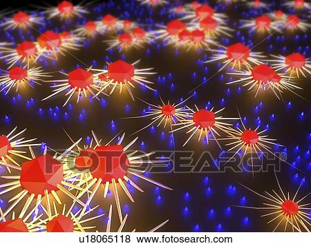 Stock Photo - Lymphocytes attacking cancer cells, illustration. Fotosearch