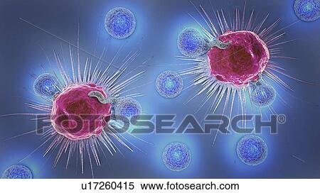 Lymphocytes attacking cancer cells, illustration View Large Photo Image Stock Photography - Lymphocytes attacking cancer cells, illustration. Fotosearch