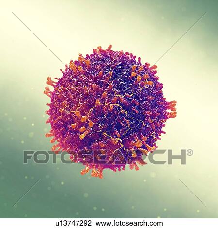 Stock Image - Measles Morbilliviruses, illustration. Fotosearch