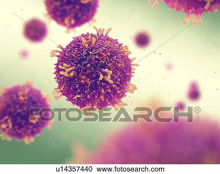 Stock Image - Measles morbilliviruses, illustration. Fotosearch