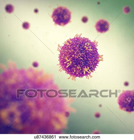 Stock Image - Measles morbilliviruses, illustration. Fotosearch