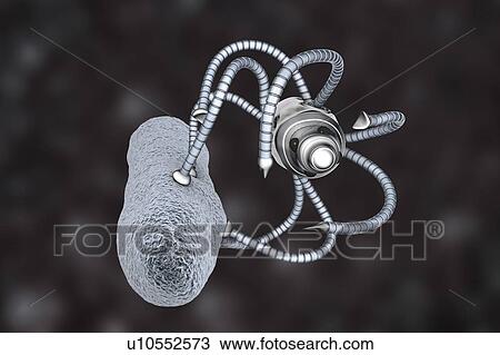 Medical nanorobot fighting with bacterium, illustration View Large Photo Image Stock Image - Medical nanorobot fighting with bacterium, illustration. Fotosearch
