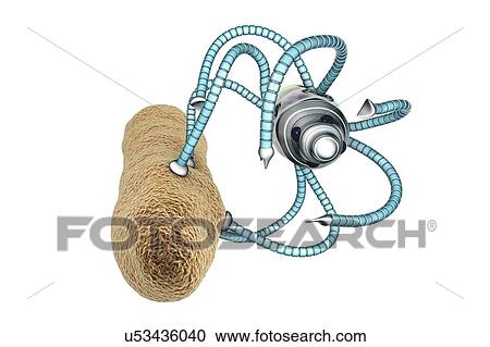 Medical nanorobot fighting with bacterium, illustration View Large Photo Image Stock Image - Medical nanorobot fighting with bacterium, illustration. Fotosearch