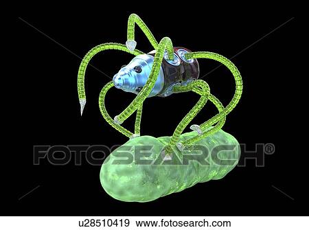 Medical nanorobot fighting with bacterium, illustration View Large Photo Image Stock Photo - Medical nanorobot fighting with bacterium, illustration. Fotosearch