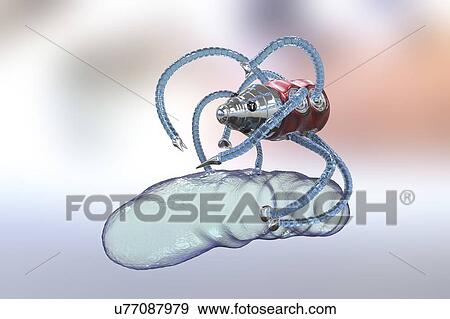 Medical nanorobot fighting with bacterium, illustration View Large Photo Image Stock Photo - Medical nanorobot fighting with bacterium, illustration. Fotosearch