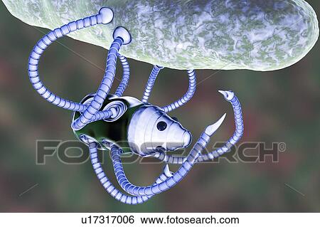 Stock Photograph - Medical nanorobot fighting with bacterium, illustration. Fotosearch