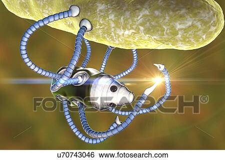 Stock Photograph - Medical nanorobot fighting with bacterium, illustration. Fotosearch