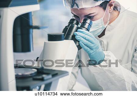 Microbiologist inspecting bacteria growth View Large Photo Image Picture - Microbiologist inspecting bacteria growth. Fotosearch