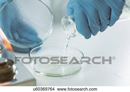 Picture - Microbiologist preparing agar plates. Fotosearch