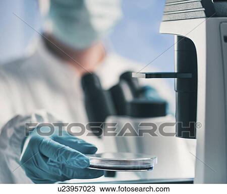 Microbiologist using light microscope View Large Photo Image Stock Image - Microbiologist using light microscope. Fotosearch