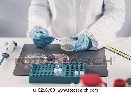 Microbiologist working in laboratory View Large Photo Image Stock Image - Microbiologist working in laboratory. Fotosearch