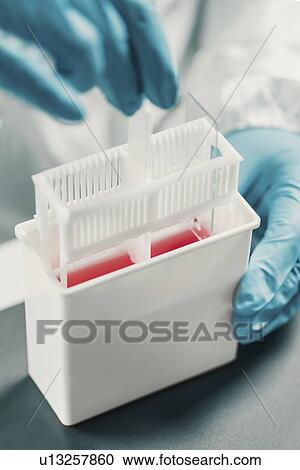 Stock Image - Microbiologist working in laboratory. Fotosearch