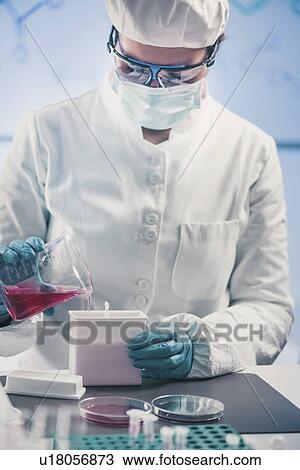 Stock Image - Microbiologist working in laboratory. Fotosearch