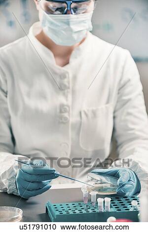 Stock Image - Microbiologist working in laboratory. Fotosearch