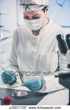 Stock Photo - Microbiologist working in laboratory. Fotosearch