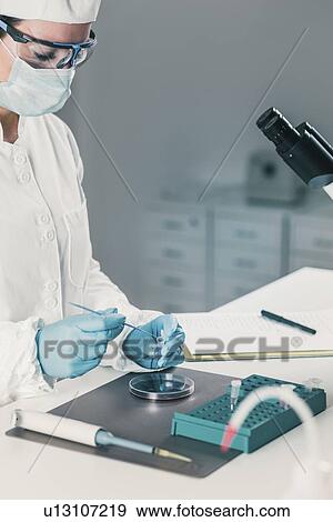Stock Photo - Microbiologist working in laboratory. Fotosearch