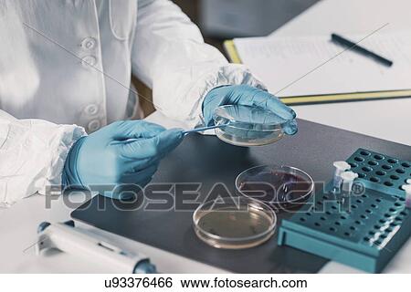Microbiologist working in laboratory View Large Photo Image Stock Photograph - Microbiologist working in laboratory. Fotosearch