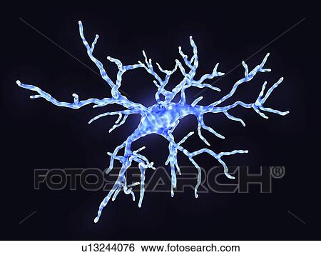 Microglial cell, illustration View Large Photo Image Stock Photograph - Microglial cell, illustration. Fotosearch
