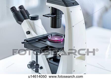 Stock Image - Microscope in laboratory. Fotosearch