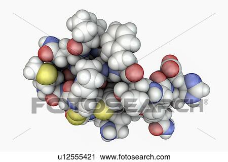 Stock Image - Molecule of scorpion chlorotoxin. Fotosearch